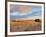 Sunrise at dunes, Cabo Polonio, Rocha Department, Uruguay, South America-Karol Kozlowski-Framed Photographic Print