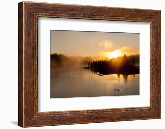 Sunrise at Fishing Bridge. Yellowstone National Park, Wyoming.-Tom Norring-Framed Photographic Print