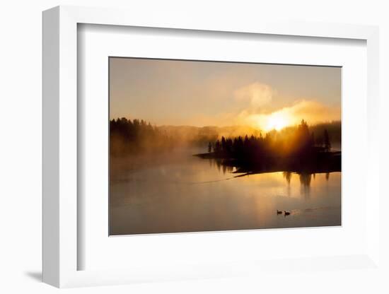 Sunrise at Fishing Bridge. Yellowstone National Park, Wyoming.-Tom Norring-Framed Photographic Print