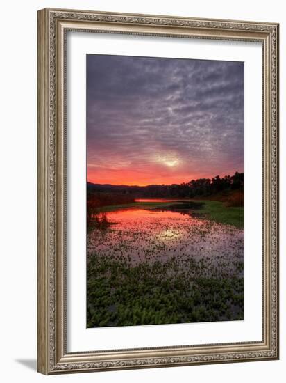 Sunrise at Fort Bragg, Mendocino California-Vincent James-Framed Photographic Print