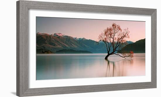 Sunrise at Lake Wanaka-Steve Daggar Photography-Framed Photographic Print