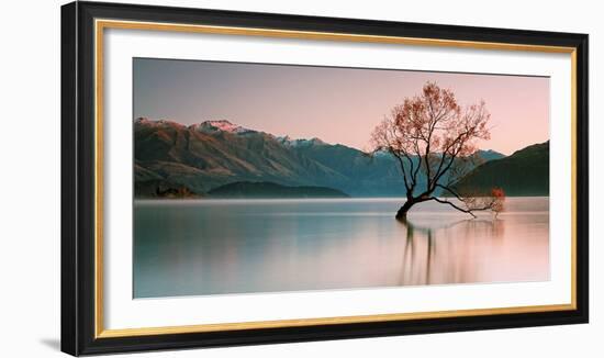 Sunrise at Lake Wanaka-Steve Daggar Photography-Framed Photographic Print