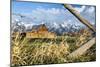 Sunrise At Mormon Row In Grand Teton National Park-Liam Doran-Mounted Photographic Print