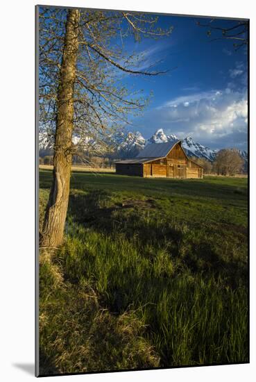 Sunrise At Mormon Row In Grand Teton National Park-Liam Doran-Mounted Photographic Print