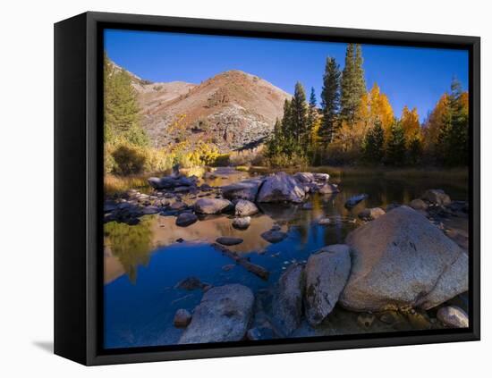 Sunrise at North Lake, Eastern Sierra Foothills, California, USA-Tom Norring-Framed Premier Image Canvas