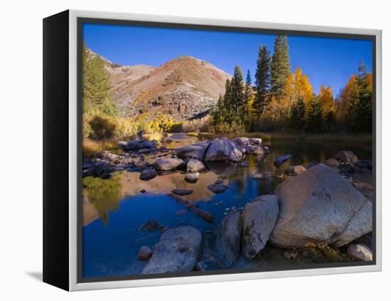 Sunrise at North Lake, Eastern Sierra Foothills, California, USA-Tom Norring-Framed Premier Image Canvas