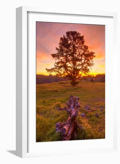 Sunrise at Oakland Hills-Vincent James-Framed Photographic Print
