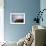Sunrise at Portland Bill Lighthouse, Dorset England UK-Tracey Whitefoot-Framed Photographic Print displayed on a wall