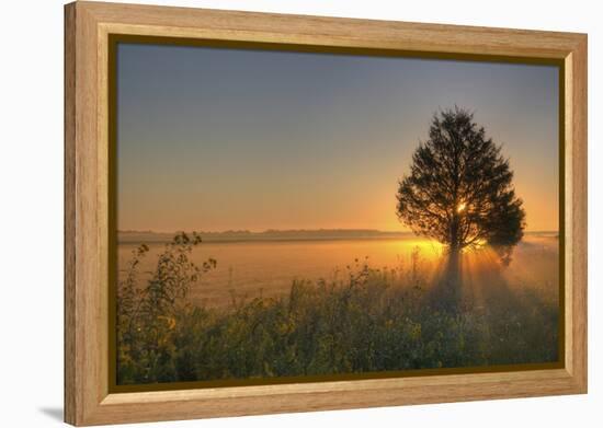 Sunrise at Prairie Ridge State Natural Area, Marion County, Illinois-Richard and Susan Day-Framed Premier Image Canvas