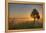 Sunrise at Prairie Ridge State Natural Area, Marion County, Illinois-Richard and Susan Day-Framed Premier Image Canvas