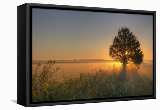 Sunrise at Prairie Ridge State Natural Area, Marion County, Illinois-Richard and Susan Day-Framed Premier Image Canvas