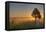 Sunrise at Prairie Ridge State Natural Area, Marion County, Illinois-Richard and Susan Day-Framed Premier Image Canvas