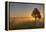 Sunrise at Prairie Ridge State Natural Area, Marion County, Illinois-Richard and Susan Day-Framed Premier Image Canvas