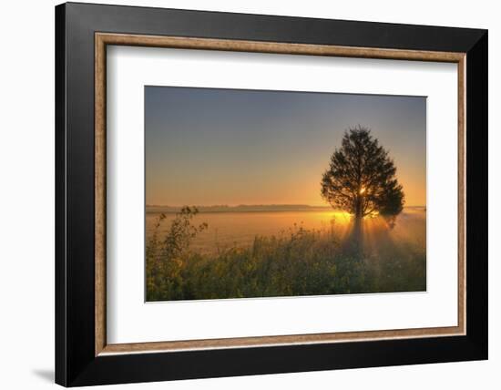 Sunrise at Prairie Ridge State Natural Area, Marion County, Illinois-Richard and Susan Day-Framed Photographic Print