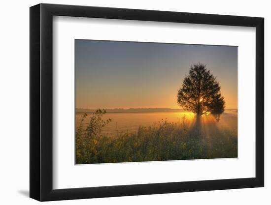 Sunrise at Prairie Ridge State Natural Area, Marion County, Illinois-Richard and Susan Day-Framed Photographic Print