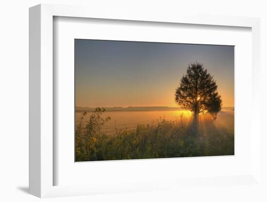 Sunrise at Prairie Ridge State Natural Area, Marion County, Illinois-Richard and Susan Day-Framed Photographic Print