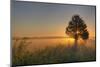 Sunrise at Prairie Ridge State Natural Area, Marion County, Illinois-Richard and Susan Day-Mounted Photographic Print