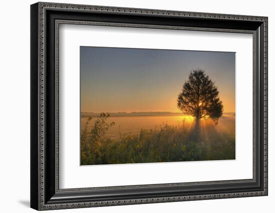 Sunrise at Prairie Ridge State Natural Area, Marion County, Illinois-Richard and Susan Day-Framed Photographic Print