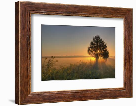 Sunrise at Prairie Ridge State Natural Area, Marion County, Illinois-Richard and Susan Day-Framed Premium Photographic Print