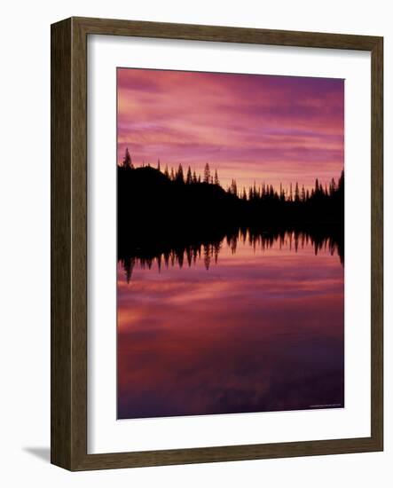 Sunrise at Reflection Lake, Mt. Rainier National Park, Washington, USA-null-Framed Photographic Print