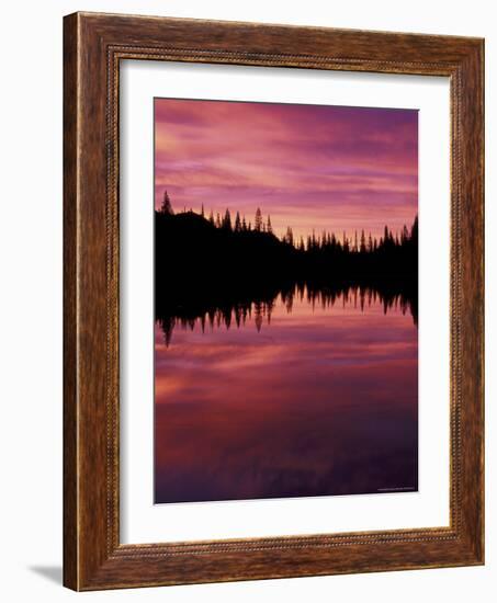 Sunrise at Reflection Lake, Mt. Rainier National Park, Washington, USA-null-Framed Photographic Print