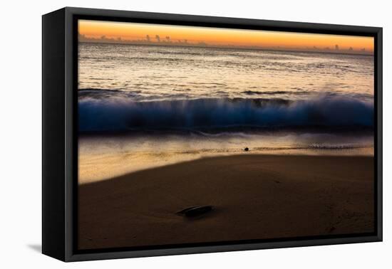 Sunrise at Shelly Beach, Caloundra, Sunshine Coast, Queensland, Australia-Mark A Johnson-Framed Premier Image Canvas