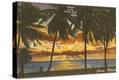Stretched Canvas Print