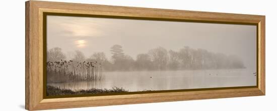 Sunrise at The Great Lake, Castle Howard, North Yorkshire, Yorkshire, England, United Kingdom, Euro-John Potter-Framed Premier Image Canvas