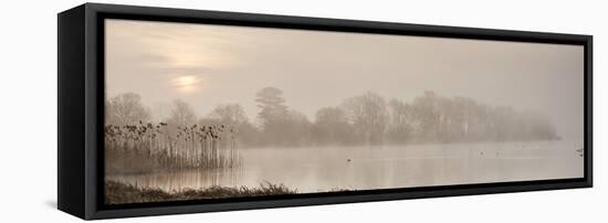 Sunrise at The Great Lake, Castle Howard, North Yorkshire, Yorkshire, England, United Kingdom, Euro-John Potter-Framed Premier Image Canvas