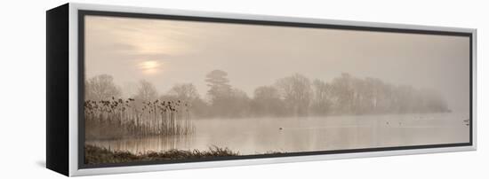 Sunrise at The Great Lake, Castle Howard, North Yorkshire, Yorkshire, England, United Kingdom, Euro-John Potter-Framed Premier Image Canvas