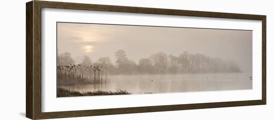 Sunrise at The Great Lake, Castle Howard, North Yorkshire, Yorkshire, England, United Kingdom, Euro-John Potter-Framed Photographic Print