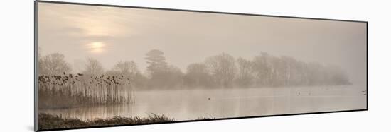 Sunrise at The Great Lake, Castle Howard, North Yorkshire, Yorkshire, England, United Kingdom, Euro-John Potter-Mounted Photographic Print