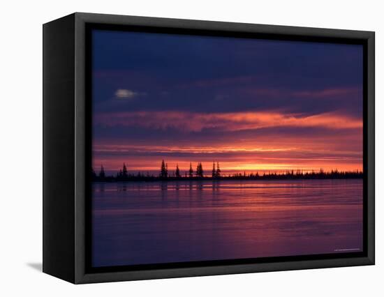 Sunrise at the Lake Near Churchill, Hudson Bay, Manitoba, Canada-Thorsten Milse-Framed Premier Image Canvas