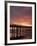 Sunrise at the Pier, Tybee Island, Georgia, USA-Joanne Wells-Framed Photographic Print