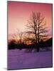 Sunrise at Thorton Gap, Shenandoah National Park, Virginia, USA-Charles Gurche-Mounted Photographic Print