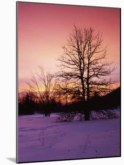 Sunrise at Thorton Gap, Shenandoah National Park, Virginia, USA-Charles Gurche-Mounted Photographic Print