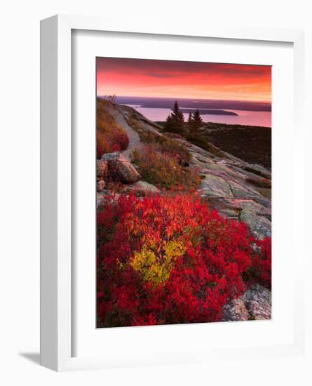 Sunrise, Cadillac Mountain-Michael Hudson-Framed Art Print