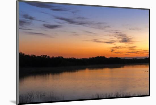 Sunrise Clouds Reflect into Nine Mile Pond in Everglades NP, Florida-Chuck Haney-Mounted Photographic Print