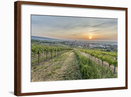 Sunrise, Clouds, Town, Vineyard, the Horizon-Jurgen Ulmer-Framed Photographic Print