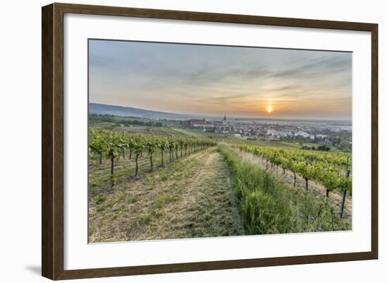 Sunrise, Clouds, Town, Vineyard, the Horizon-Jurgen Ulmer-Framed Photographic Print