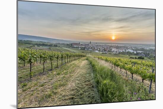 Sunrise, Clouds, Town, Vineyard, the Horizon-Jurgen Ulmer-Mounted Photographic Print