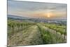 Sunrise, Clouds, Town, Vineyard, the Horizon-Jurgen Ulmer-Mounted Photographic Print