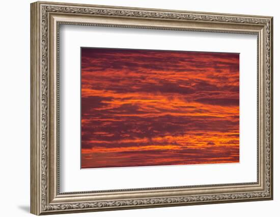 Sunrise cloudscape, Kgalagadi Transfrontier Park, South Africa, Africa-Ann and Steve Toon-Framed Photographic Print