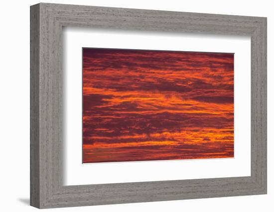 Sunrise cloudscape, Kgalagadi Transfrontier Park, South Africa, Africa-Ann and Steve Toon-Framed Photographic Print