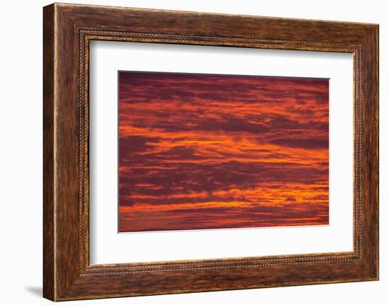 Sunrise cloudscape, Kgalagadi Transfrontier Park, South Africa, Africa-Ann and Steve Toon-Framed Photographic Print