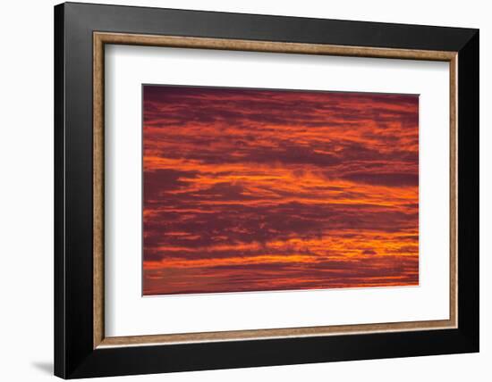 Sunrise cloudscape, Kgalagadi Transfrontier Park, South Africa, Africa-Ann and Steve Toon-Framed Photographic Print