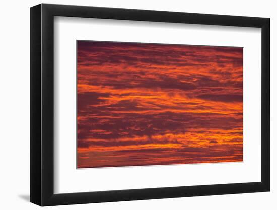 Sunrise cloudscape, Kgalagadi Transfrontier Park, South Africa, Africa-Ann and Steve Toon-Framed Photographic Print