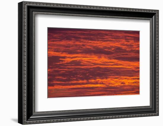 Sunrise cloudscape, Kgalagadi Transfrontier Park, South Africa, Africa-Ann and Steve Toon-Framed Photographic Print