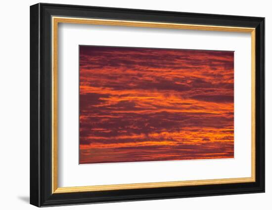 Sunrise cloudscape, Kgalagadi Transfrontier Park, South Africa, Africa-Ann and Steve Toon-Framed Photographic Print