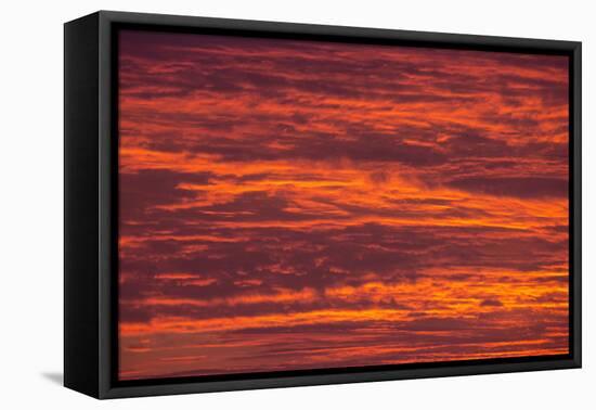 Sunrise cloudscape, Kgalagadi Transfrontier Park, South Africa, Africa-Ann and Steve Toon-Framed Premier Image Canvas